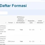 Cara Cek Jumlah Pesaing CPNS 2024 Beserta Skornya, Ini Syarat Lolos SKD