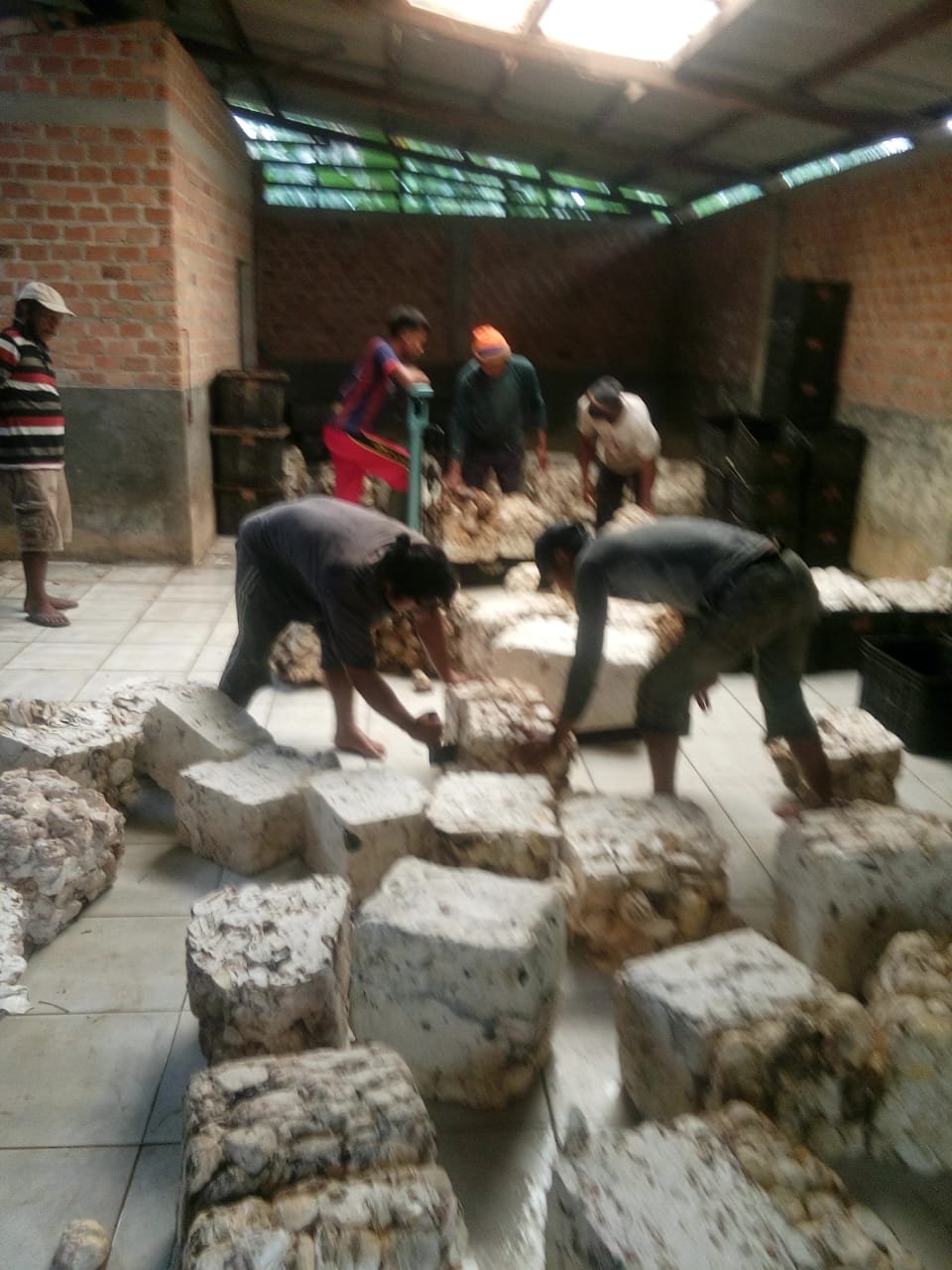 Harga Komoditas Pertanian Karet Kembali Naik di SGX Sicom.