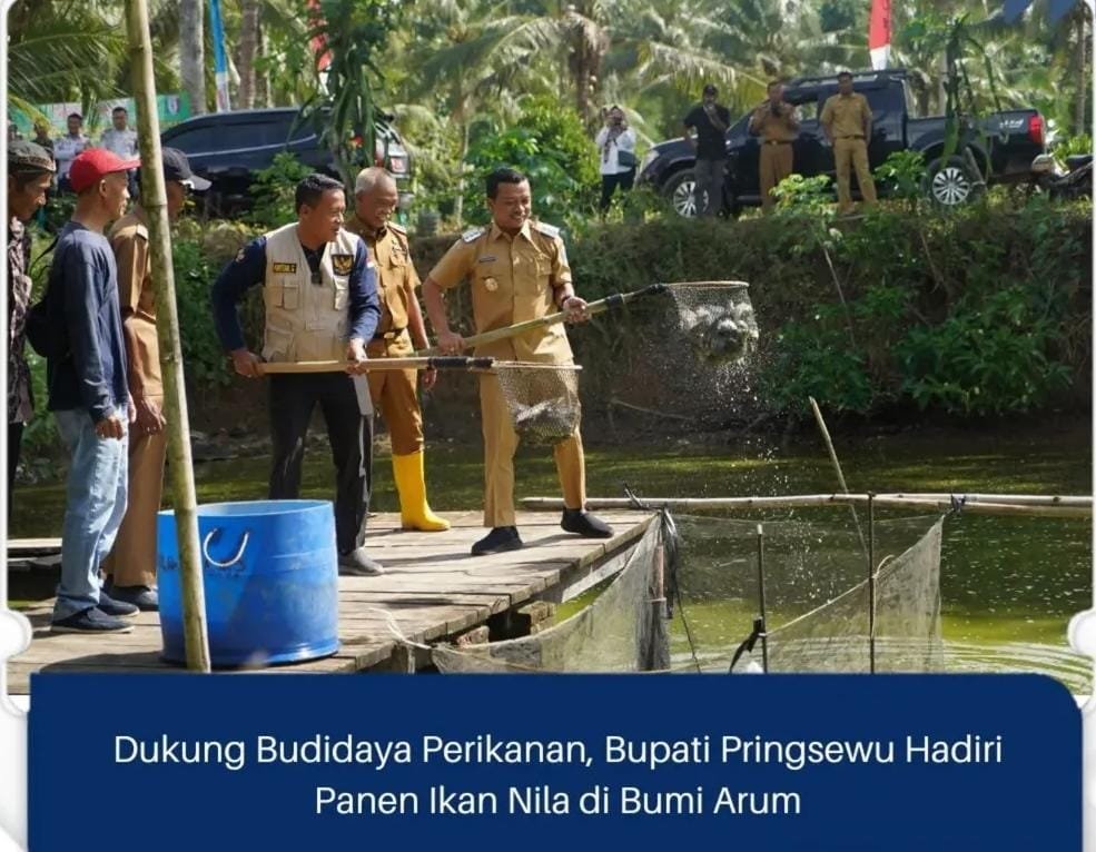 Bupati Pringsewu Lampung, H. Riyanto Pamungkas Menghadiri Kegiatan Panen Ikan Nila.