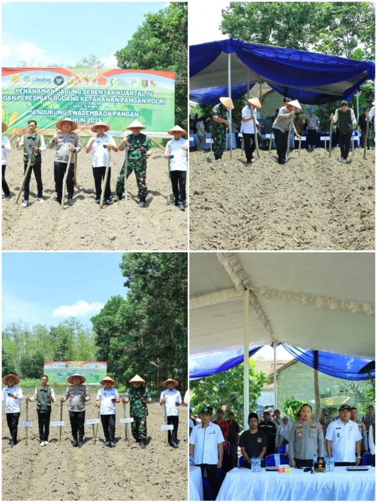 Polres Tulang Bawang Barat Dukung Program Swasembada Pangan Nasional melalui Penanaman Jagung Serentak Kuartal IV