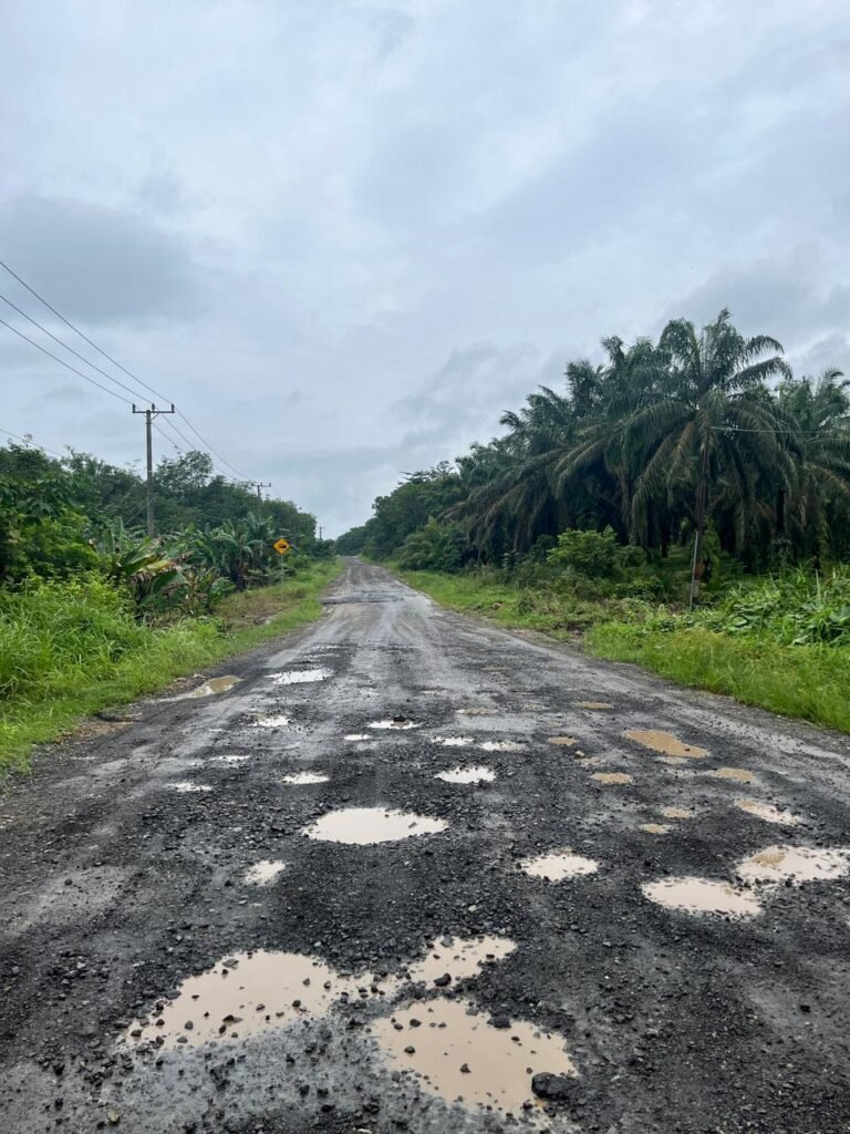 ‎Pekerjaan Uruk Jalan Mesuji : Memperbaiki Akses atau Sekedar Buang Uang Rakyat.