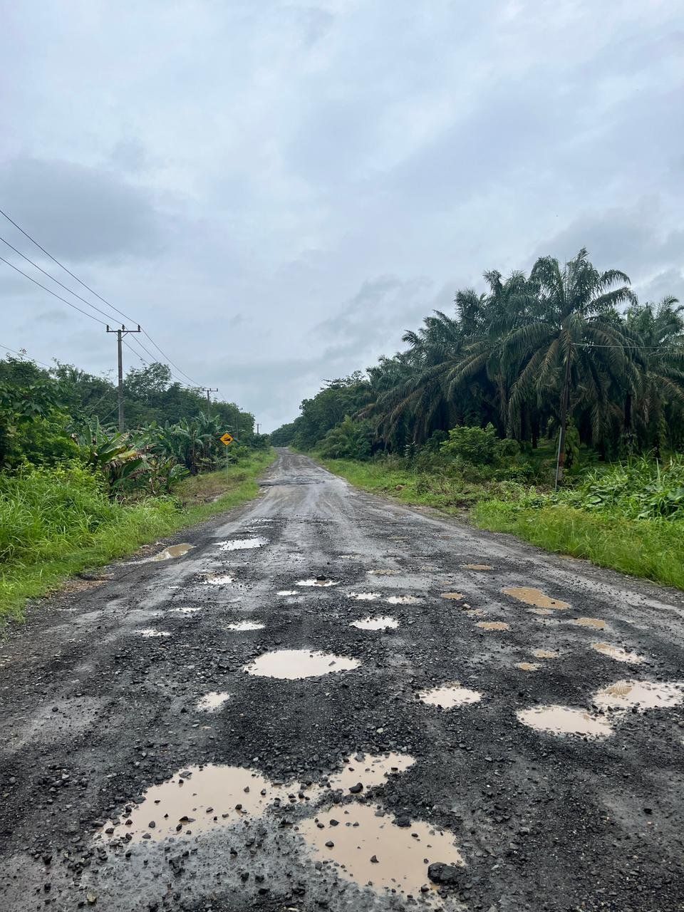 ‎Pekerjaan Uruk Jalan Mesuji : Memperbaiki Akses atau Sekedar Buang Uang Rakyat.