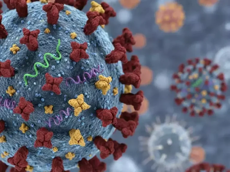 Tren Influenza A (H3N2) Subclade K di Indonesia Menurun