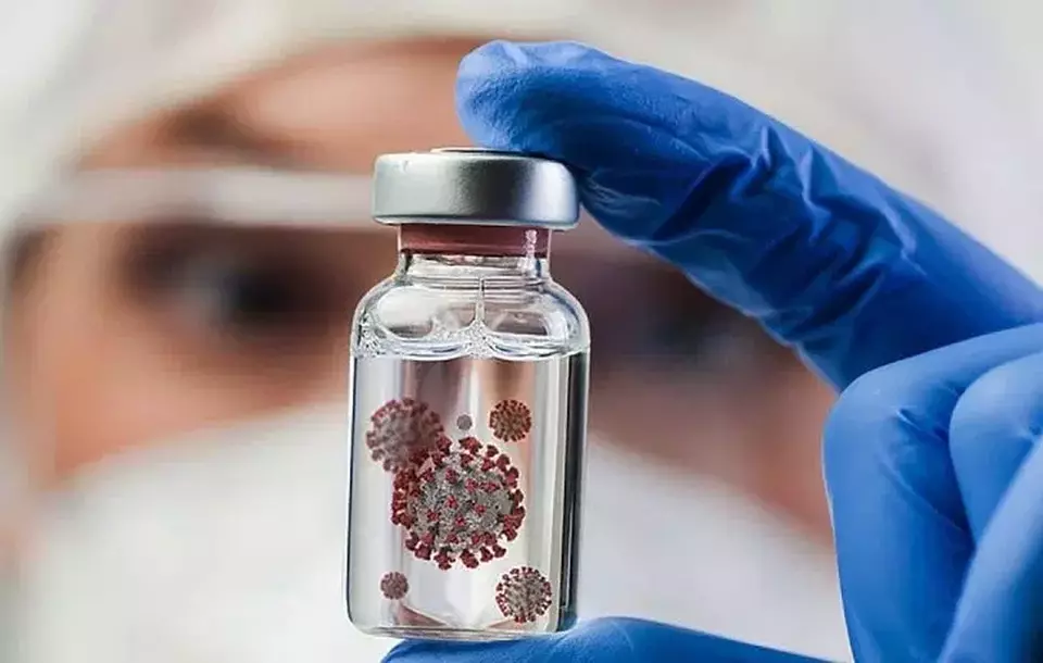 Anggota DPR Desak Pemerintah Kampanye Digital Cegah Virus Nipah