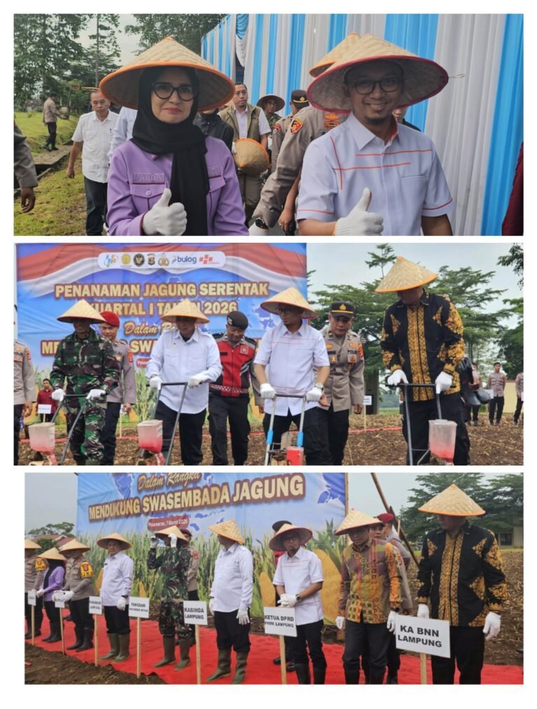 Sinergi Dukung Ketahanan Pangan, DPRD Lampung Ikuti Tanam Raya Jagung Serentak