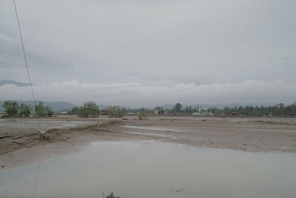 Satgas PRR kebut rehabilitasi tambak dan keramba di Sumatera