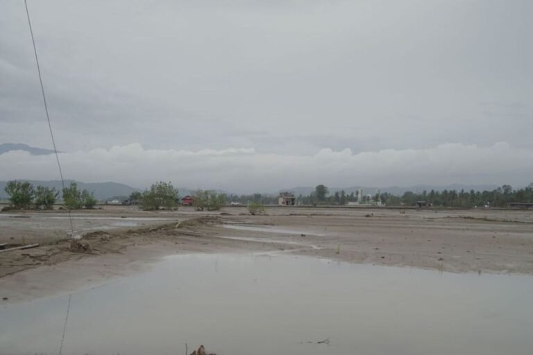 Satgas PRR kebut rehabilitasi tambak dan keramba di Sumatera