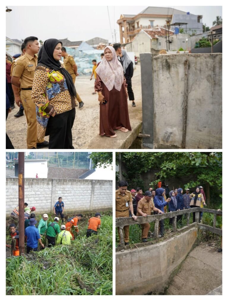*Wali Kota Tinjau Aliran Sungai dan Gorong-Gorong di Perumahan Pujangga Alam*