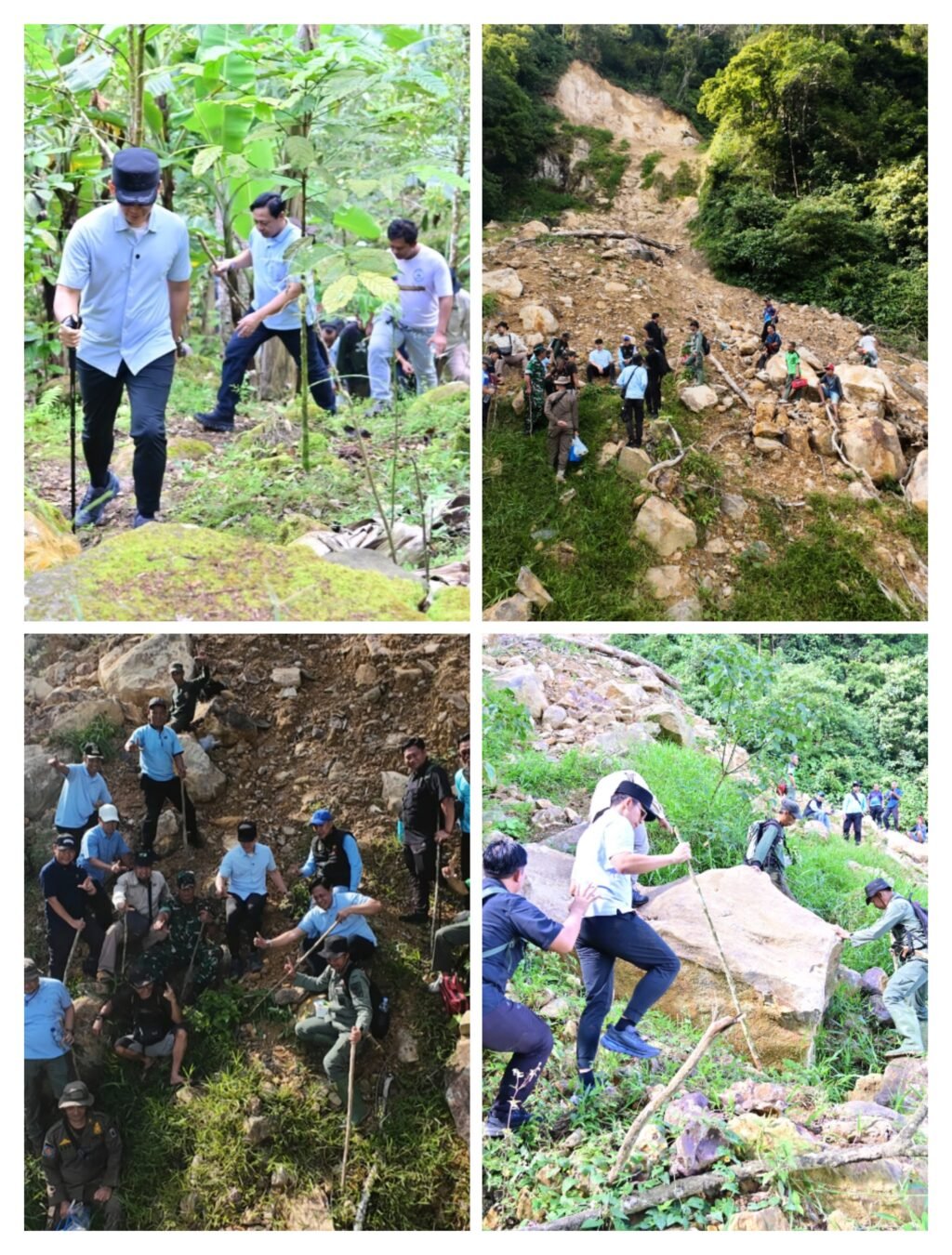 Longsor Gunung Rajabasa: Bupati Egi Naik 3 Km, Tanam Pohon Cegah Bencana Susulan.