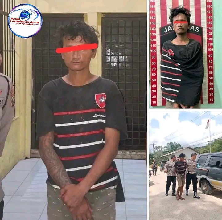 POLRES TAPTENG UNGKAP KASUS PENCABULAN ANAK DI KECAMATAN BADIRI, PELAKU BERHASIL DIAMANKAN