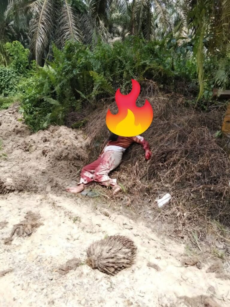 KLK. Gunung Sari Kecamatan Segah Kab Berau Kalimantan Timur