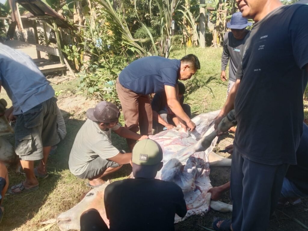 Warga Dusun Kampung Baru 1 Kecamatan Bila Hilir Laksanakan Penyembelihan Hewan Kurban Idul Adha