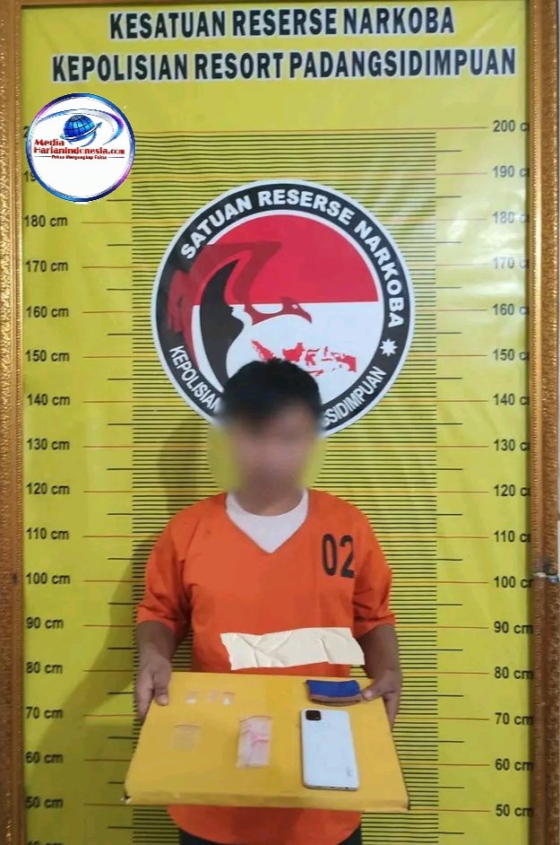 Satresnarkoba Polres Padangsidimpuan Tangkap Dua Pria Diduga Pengedar Sabu di Wek VI