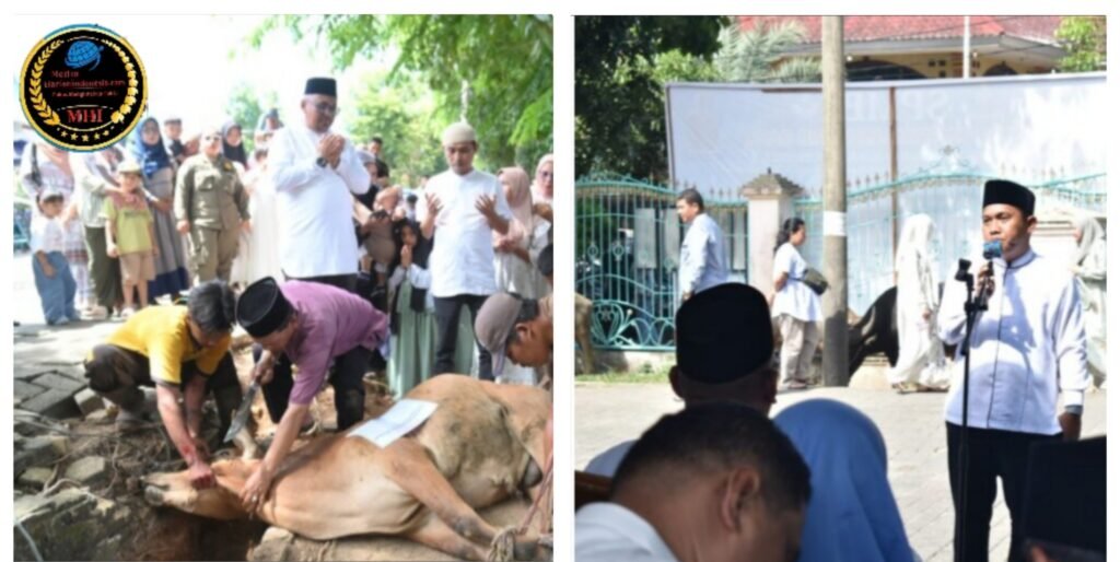 Semangat Berkurban dan Berbagi, Pemkot Sibolga Sembelih 20 Hewan Kurban Kerbau Serta Lembu Untuk Masyarakat Sibolga