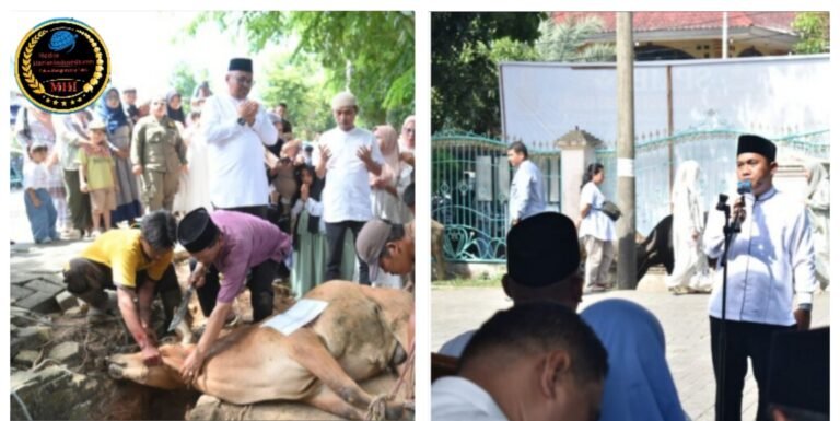 Semangat Berkurban dan Berbagi, Pemkot Sibolga Sembelih 20 Hewan Kurban Kerbau Serta Lembu Untuk Masyarakat Sibolga