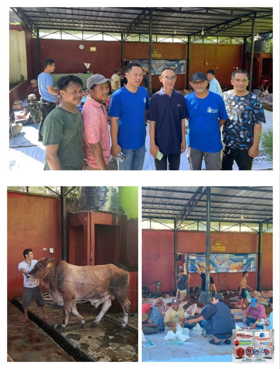 PAN Lampung Sukses Sembelih 8 Ekor Sapi Kurban, Tebar Ribuan Paket Daging untuk Warga dan Ojol