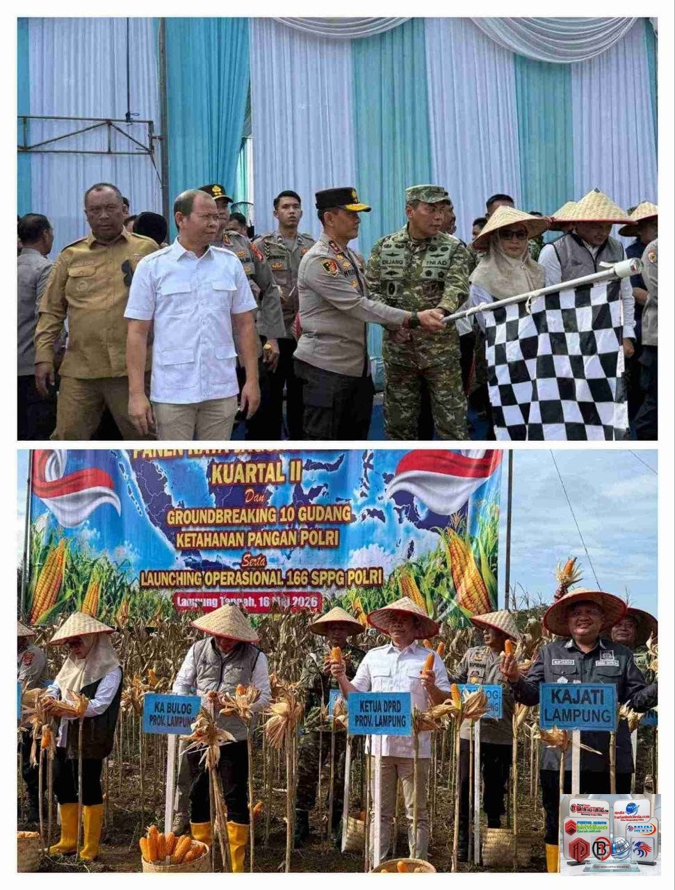 DPRD Provinsi Lampung Dukung Penguatan Ketahanan Pangan Melalui Panen Raya Jagung Serentak