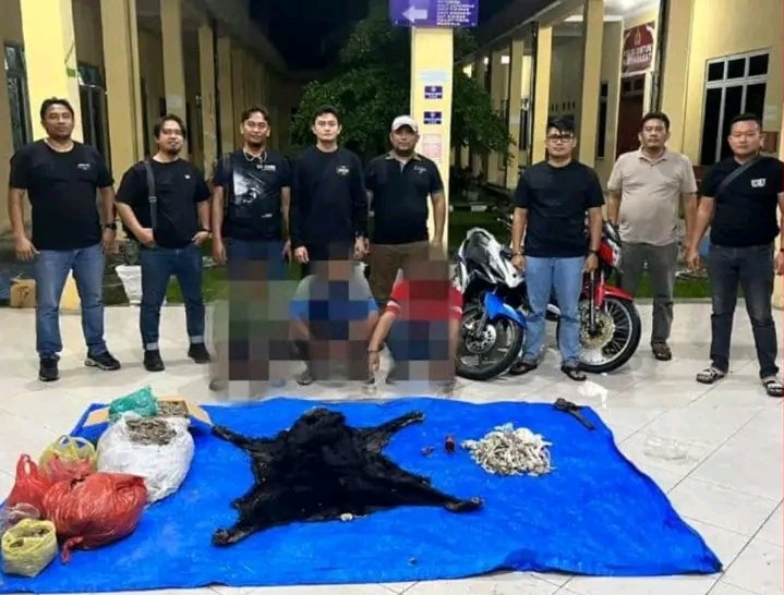 Polres Simalungun menunjukkan komitmennya dalam menjaga keamanan dan ketertiban masyarakat dengan mengungkap puluhan kasus kejahatan konvensional serta membongkar kasus perdagangan satwa dilindungi sepanjang Semester I Tahun 2026.