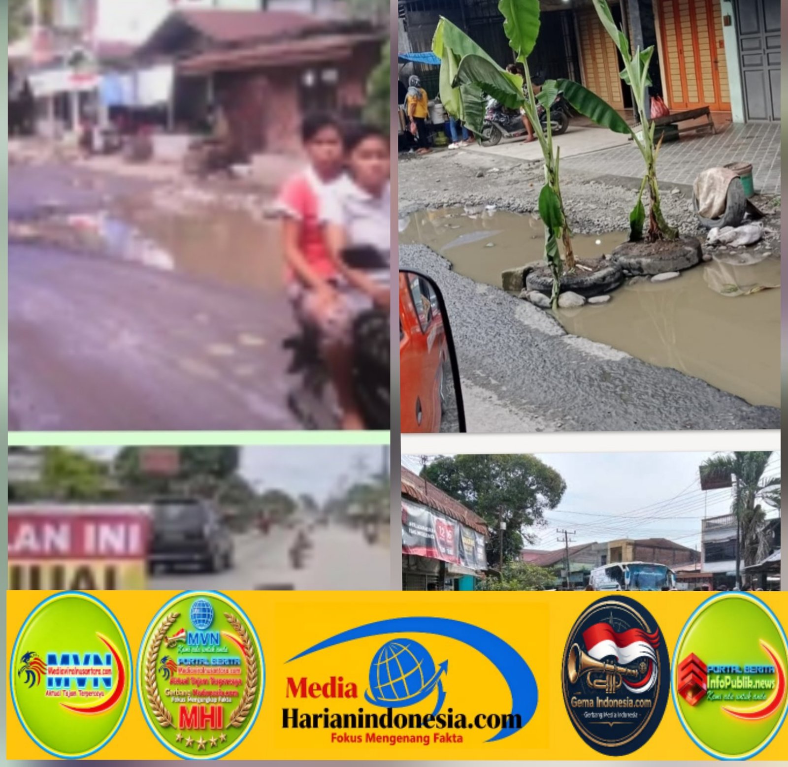 HEBOH KELURAHAN TANJUNG LANGKAT WARGA TANAM POHON PISANG DITENGAH JALAN BENTUK PROTES