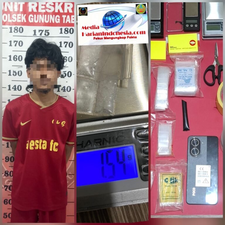 Satu Pengedar Sabu Dibekuk di Gunung Panjang, Polisi Sita Sejumlah Barang Bukti