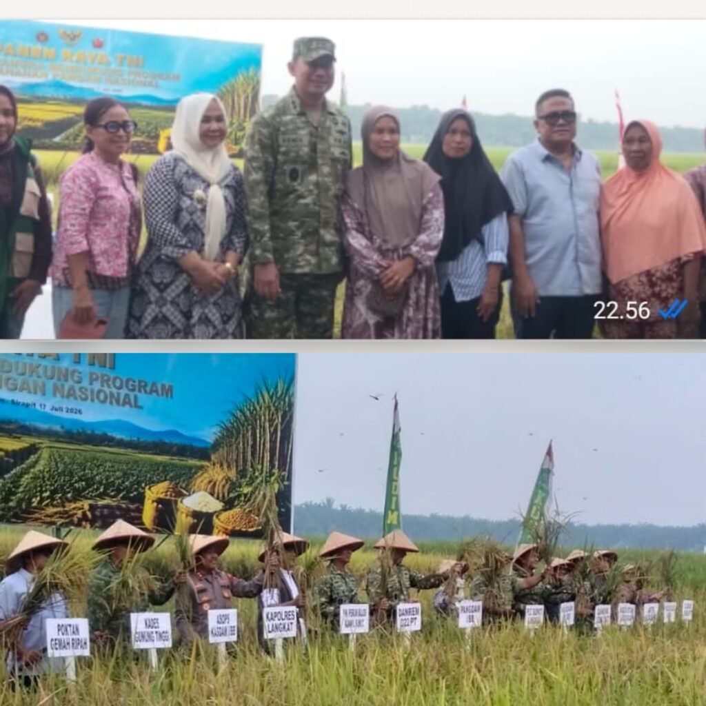 Panen raya di Desa Gunung Tinggi yang Di hadiri pangdam I BB dalam rangka Mendukung program Ketahanan pangan  Ketapang