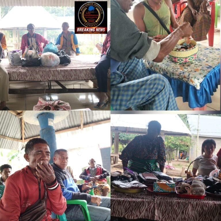 Pererat Tali Persaudaraan Media Harian Indonesia Bersama Masyarakat Adat Saksikan Sakralnya Perkawinan Adat Suku Naisali dan Naiobe di Timor
