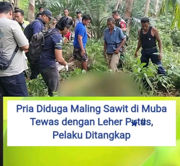 Gara-Gara Maling Sawit, Pemuda di Jirak Jaya Muba Tewas di B4c0k Oleh Pemilik Kebun Secara Mengenaskan di Leher, Pelaku Pasrah Serahkan Diri!