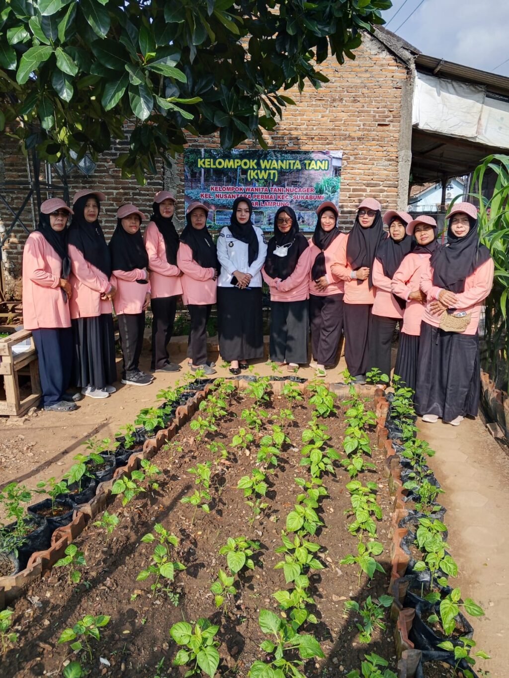 Penilaian BPP KWT Nucager Sukses Optimalkan Lahan Pekarangan, Wujudkan Kemandirian Pangan Nusantara Permai