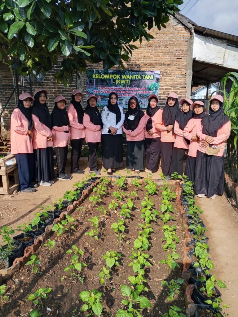 Penilaian BPP KWT Nucager Sukses Optimalkan Lahan Pekarangan, Wujudkan Kemandirian Pangan Nusantara Permai