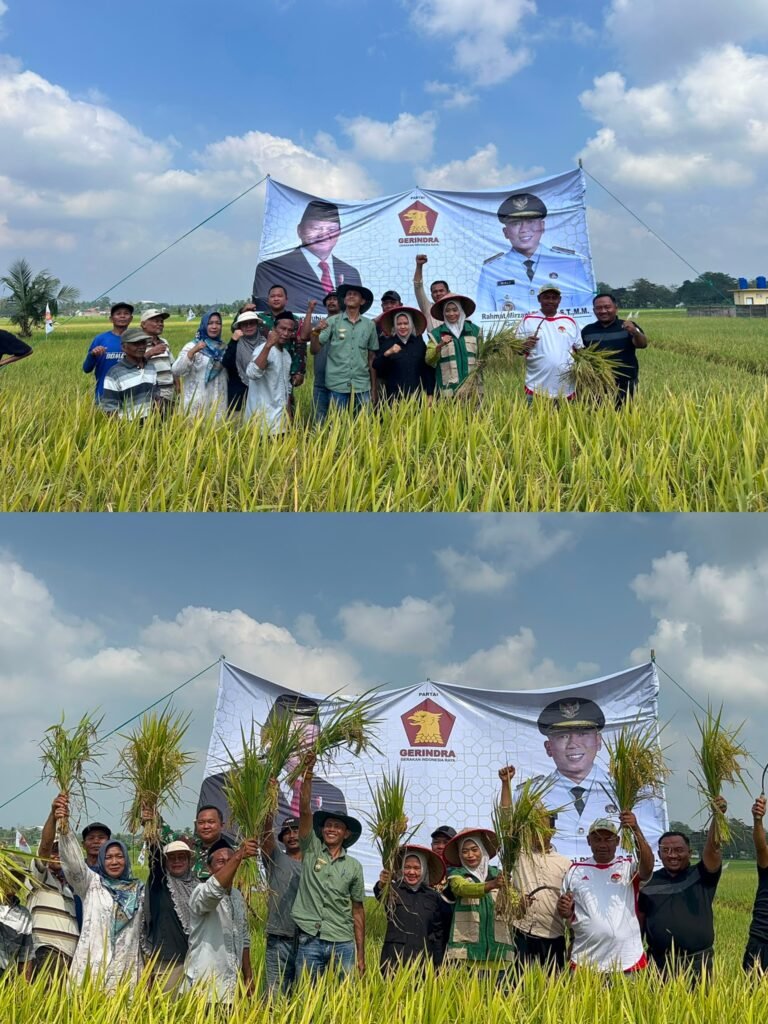 Erma Yusneli Panen Raya Bersama Petani Tanjung Sari , Janji Kawal Aspirasi ke Pusat
