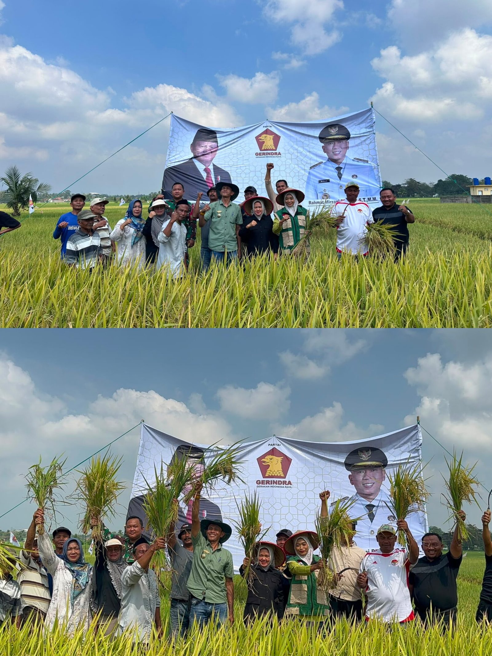 Erma Yusneli Panen Raya Bersama Petani Tanjung Sari , Janji Kawal Aspirasi ke Pusat