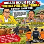 Dugaan Oknum Polisi Terlibat Pencurian Ternak di Sumba Timur Viral