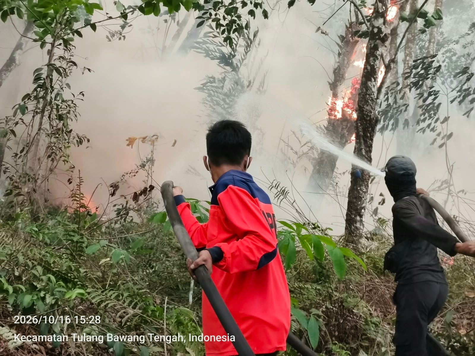Dua Titik Karhutla di Tulang Bawang dan Lamteng Terkendali, BPBD Sampaikan Pesan Gubernur: Tingkatkan Kewaspadaan Karhutla