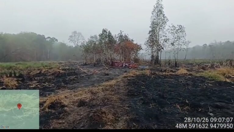 Hujan Bantu Padamkan Karhutla di Way Kambas, Pemprov Lampung Lanjutkan Pemantauan